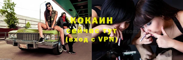 стафф Богданович