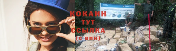 шишки Богородск