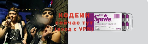 шишки Богородск