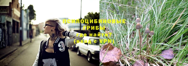сатива Белокуриха