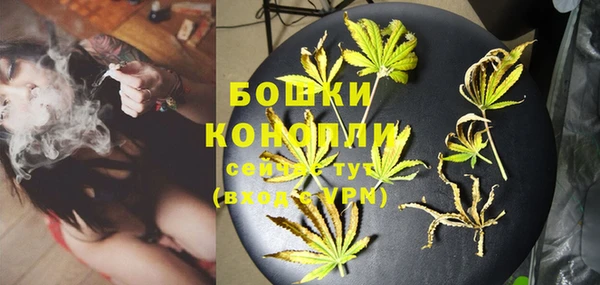 стафф Богданович
