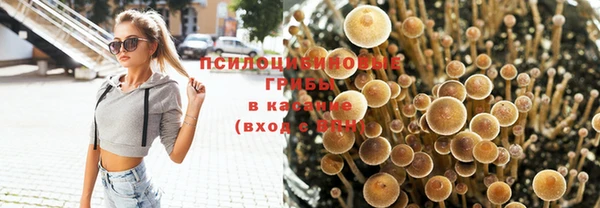 spice Саяногорск