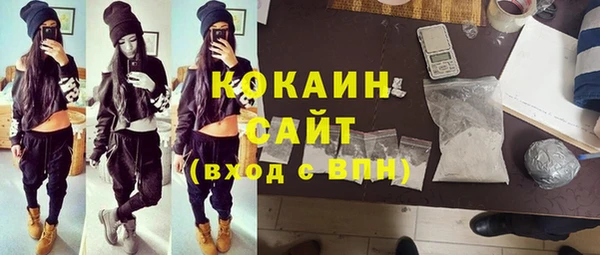 стафф Богданович